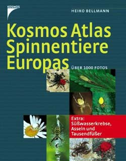 Spinnentiere Europas