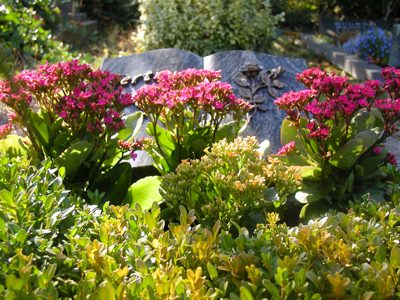 Flammendes K�thchen