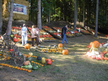 Krieger' G�rtnermarkt