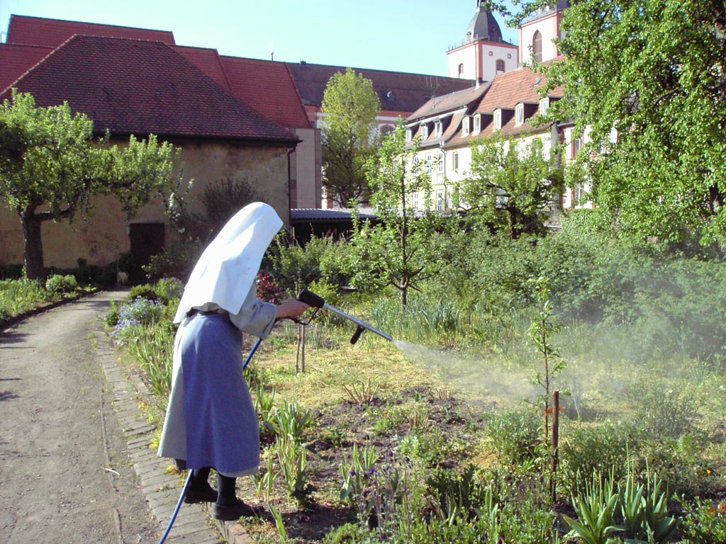 Kloster Fulda Spritzung