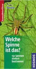 Welche Spinne ist das?