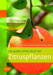 Zitruspflanzen Ulmer