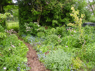 Schrebergarten