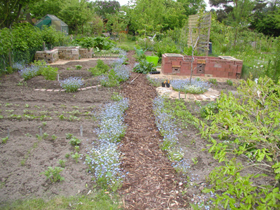 Schrebergarten