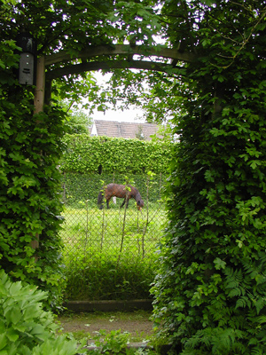 Schrebergarten